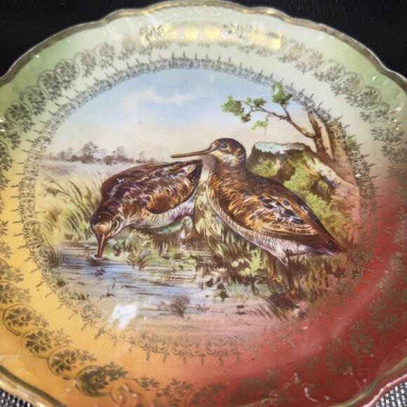 German Bavaria Fine Porcelain Dish Plate Bird Sandpiper Birds Ornate Plate 9.5” - Picture 7 of 15